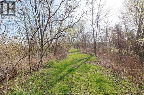 5689 Third Line, Chatham-Kent, ON - Outdoor With View