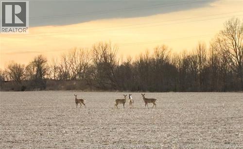 5689 Third Line, Chatham-Kent, ON - Outdoor