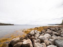 2895 Highway 3 East Chester, NS B0J 1J0