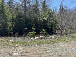 Lot R-9 Kill Dog Cove Road Parkdale, NS B0R 1A0