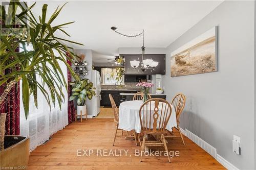 120 Elgin Crescent, Waterloo, ON - Indoor Photo Showing Dining Room