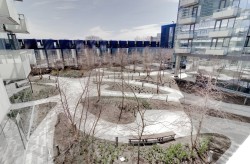 Courtyard - 