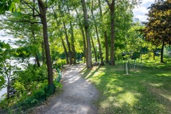 Wooded area - 