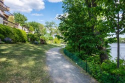 Wooded area - 