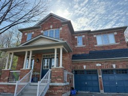 Basement-218 Via Campanile Road Vaughan, ON L4H 3J8