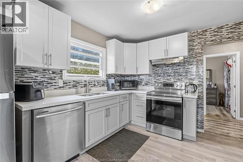 3406 Turner, Windsor, ON - Indoor Photo Showing Kitchen With Double Sink