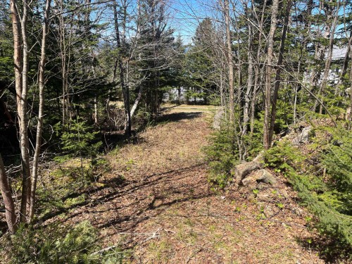 Terre/Terrain - Ch. De La Pointe-À-Moreault, Cacouna, QC 