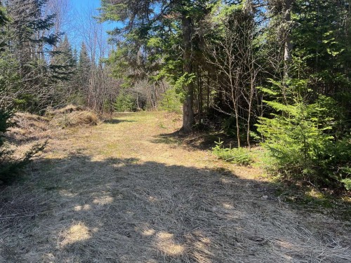 Terre/Terrain - Ch. De La Pointe-À-Moreault, Cacouna, QC 