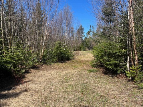 Terre/Terrain - Ch. De La Pointe-À-Moreault, Cacouna, QC 