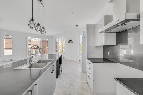 Cuisine - 102-1600 Rue Mozart, Lévis (Desjardins), QC - Indoor Photo Showing Kitchen With Double Sink With Upgraded Kitchen