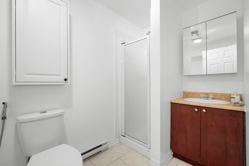 Salle d'eau - 1020 Mtée Masson, Laval (Saint-Vincent-De-Paul), QC - Indoor Photo Showing Bathroom