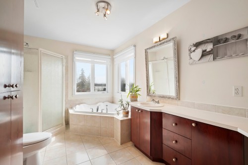 Salle de bains - 1020 Mtée Masson, Laval (Saint-Vincent-De-Paul), QC - Indoor Photo Showing Bathroom