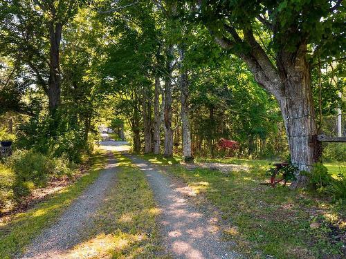 3072 326 Highway, Denmark, NS 
