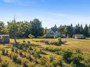 3072 326 Highway, Denmark, NS 