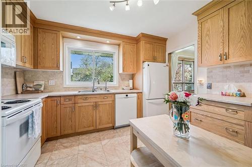 39 Charlotte Crescent, Kitchener, ON - Indoor Photo Showing Kitchen With Double Sink
