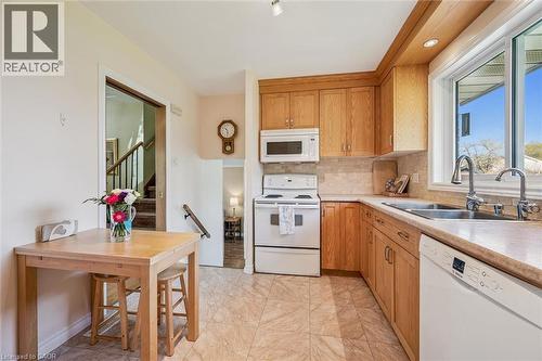 39 Charlotte Crescent, Kitchener, ON - Indoor Photo Showing Kitchen With Double Sink