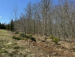 Lot R-10 Kill Dog Cove Road Parkdale, NS B0R 1A0