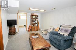 Basement Rec Room - 