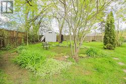 Backyard- Greenery - 