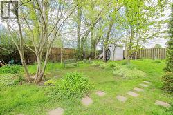 Backyard - Greenery Walkway - 