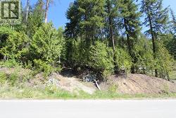 7513 Castle Heights Anglemont, BC V0E 1M8