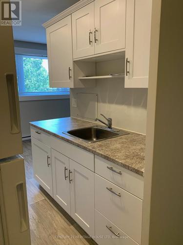 10 - 51 Chesterfield Avenue, London South (South J), ON - Indoor Photo Showing Kitchen