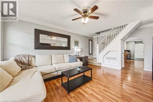 161 Ivon Avenue, Hamilton, ON - Indoor Photo Showing Living Room