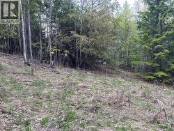 Lot 2 BALFOUR Avenue Kaslo, BC V0G 1M0