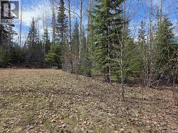 14 BYRON CIRCLE Granisle, BC V0J 1W0