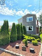 Very low outdoor maintenance with no grass to cut. Christmas lights included in cedars. - 
