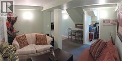 Basement lounge area - 