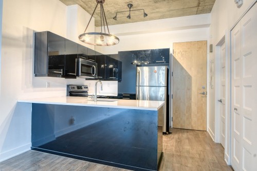 Kitchen - 114-190 Rue Murray, Montréal (Le Sud-Ouest), QC - Indoor Photo Showing Kitchen