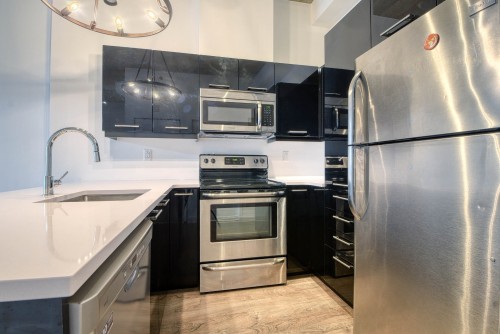 Kitchen - 114-190 Rue Murray, Montréal (Le Sud-Ouest), QC - Indoor Photo Showing Kitchen With Upgraded Kitchen