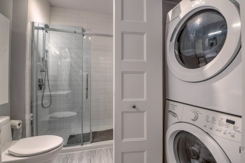 Bathroom - 114-190 Rue Murray, Montréal (Le Sud-Ouest), QC - Indoor Photo Showing Laundry Room