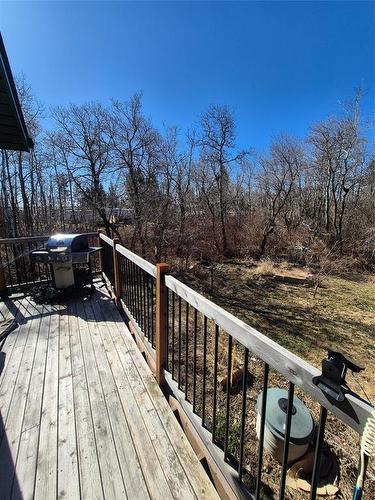 53 Railway Avenue, Clanwilliam, MB - Outdoor