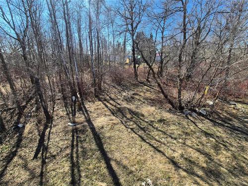 53 Railway Avenue, Clanwilliam, MB - Outdoor With View