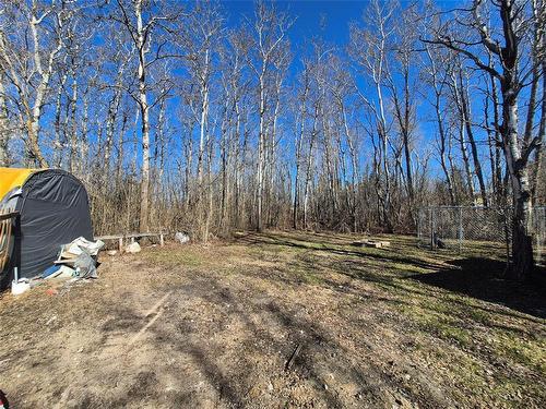 53 Railway Avenue, Clanwilliam, MB - Outdoor With View