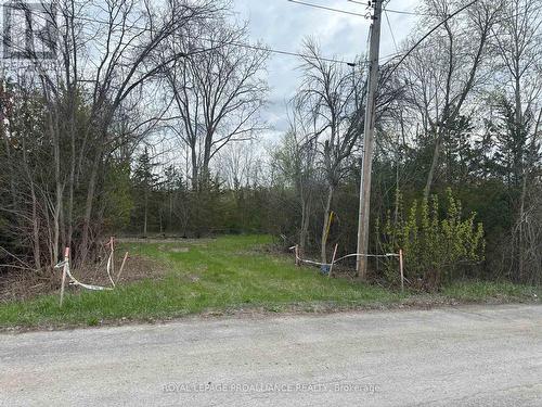 147 Peterson Street, Quinte West (Sidney Ward), ON 