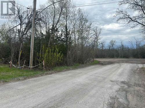 147 Peterson Street, Quinte West (Sidney Ward), ON 