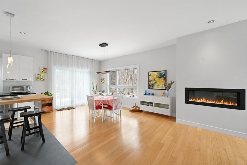 Salle à manger - 159 Rue Bourget E., Granby, QC - Indoor Photo Showing Living Room With Fireplace