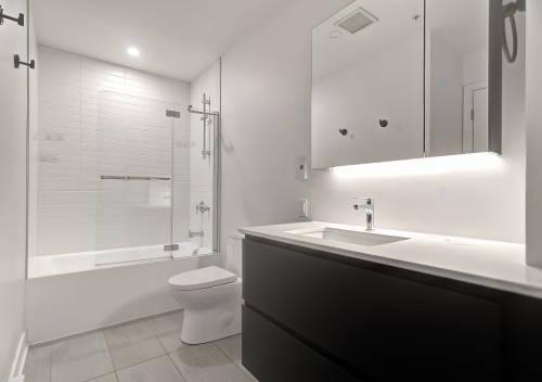 Salle de bains - 523-1150 Boul. René-Lévesque E., Montréal (Ville-Marie), QC - Indoor Photo Showing Bathroom