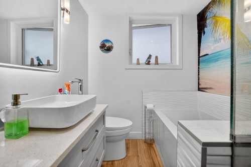 Salle de bains - 2353  - 2359 Av. Gonthier, Montréal (Mercier/Hochelaga-Maisonneuve), QC - Indoor Photo Showing Bathroom
