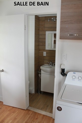 Salle de bains - 2353  - 2359 Av. Gonthier, Montréal (Mercier/Hochelaga-Maisonneuve), QC - Indoor Photo Showing Laundry Room