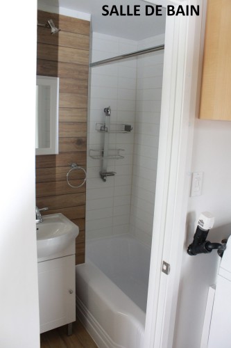 Salle de bains - 2353  - 2359 Av. Gonthier, Montréal (Mercier/Hochelaga-Maisonneuve), QC - Indoor Photo Showing Bathroom