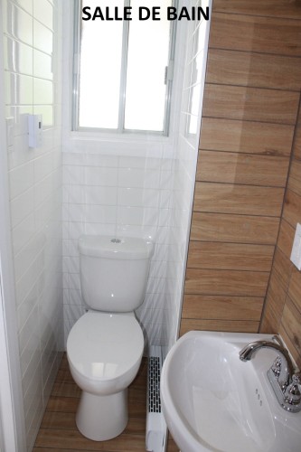 Salle de bains - 2353  - 2359 Av. Gonthier, Montréal (Mercier/Hochelaga-Maisonneuve), QC - Indoor Photo Showing Bathroom