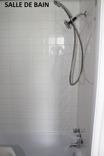 Salle de bains - 2353  - 2359 Av. Gonthier, Montréal (Mercier/Hochelaga-Maisonneuve), QC - Indoor Photo Showing Bathroom
