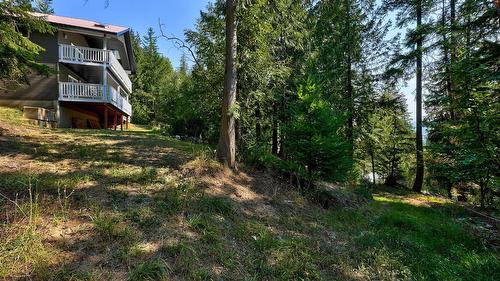 2725 Vickers Trail, Anglemont, BC - Outdoor