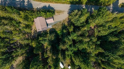 2725 Vickers Trail, Anglemont, BC - Outdoor With View