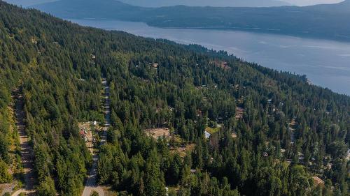 2725 Vickers Trail, Anglemont, BC - Outdoor With Body Of Water With View