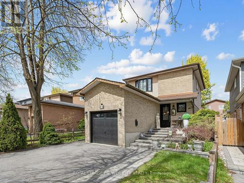 16 BLOSSOM AVENUE  Brampton, ON L6X 2W3